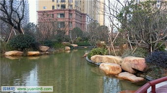 精品園林獎金獎項目 和協(xié)·風(fēng)格尚品室外景觀及綠化工程的藝術(shù)與匠心