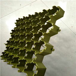 清遠塑料植草格廠家 以專業(yè)品質(zhì)，助力綠色生態(tài)建設(shè)