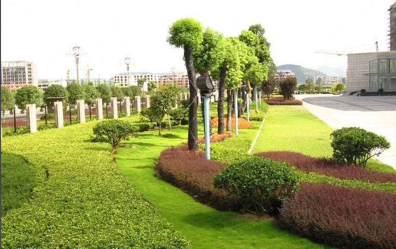 以園林綠化工程為基石，推進城市生態高質量發展