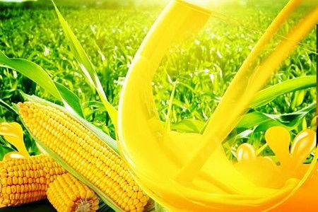 吉林農副食品加工公司57.136%股權轉讓 行業機遇與挑戰并存